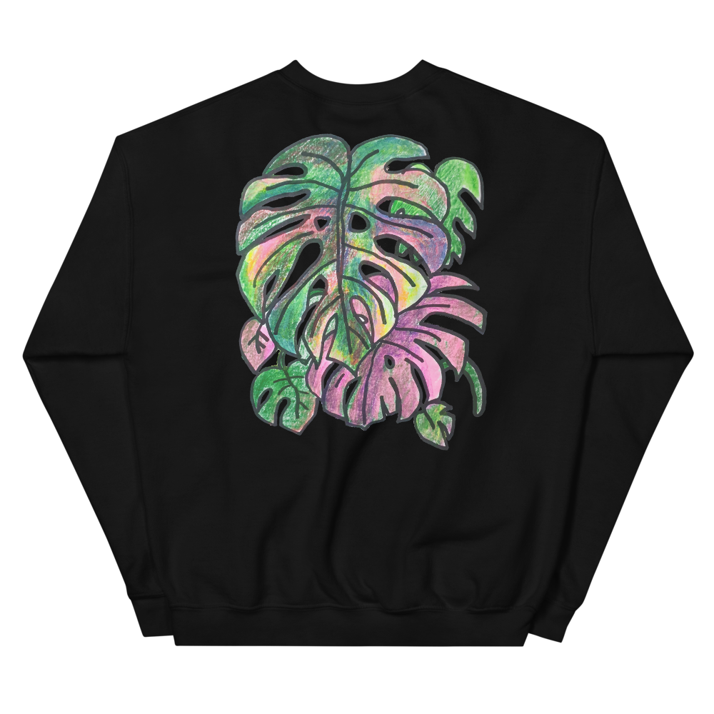 Monstera Collection